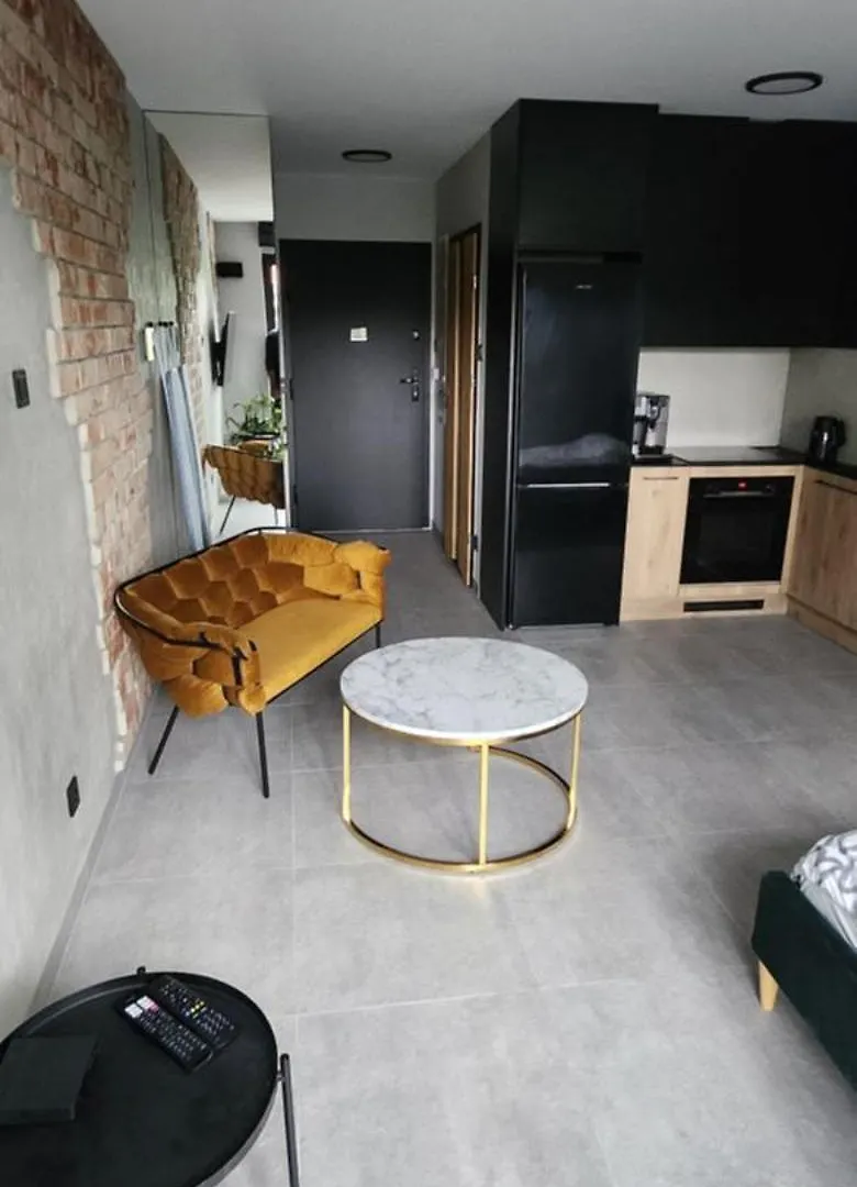 Castle Loft Apartment,Spa, Gym ,Sauna & Swimming Pool Free Parking Krakow Poland